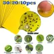 Strong Sticky Fly Pest Traps Board Outdoor Plant Insect Catcher Dual-Sided Sticky Board Greenhouse