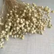 35CM/40g Real Natural Dried Little Flaxseed Fruit Flowers Bouquet Dry Jumble-Beads Floral
