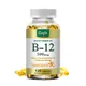 Catfit Vitamin B12 Capsules 500mcg Supports Energy Metabolism Nervous System Blood Cell Immune