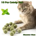 10 Pcs 15mm Healthy Natural Mint Ball Catnip Ball Playing Toy Molars Supplies Pet Snacks Cat