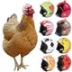 Toy Pet Supplies Funny Pet Protective Headgear Sun Rain Protection Hats Bird Protect Cap Chicken