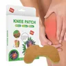 Knee Relief Patch 10 Patches Wormwood Hurt Relief Patches Knee Relief Patch Paste Back Hurt Relief