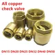 NPT Brass Check Valve Female Thread In-Line Spring for Water Control 1/2" 3/4" 1" 2" 1-1/2" 1-3/4"