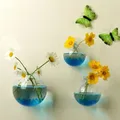 1 PC Creative Wall Mounted Vase Semi Circular Transparent Plant Container Glass Handicraft