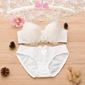 Sexy Lingerie Set Lace Flower Comfortable Soft Underwire Push Up Bra and Panties AB CupTwo-piece