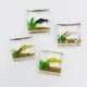 1PC DIY Fish Tank Toy Miniature Ornaments Resin Dollhouse Fish Tank Scene Accessories for Girls