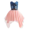 Fashion Baby Girl Dress Jeans Denim Toddler Girl Clothes Ball Gown Mesh Dress Tulle Tutu Kids Outfit