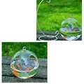 Round/Rectangle Shape Hanging Glass Aquarium Fish Tank Fish Bowl Transparent Vase Ornament With Rack