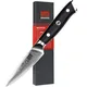 SHAN ZU Damascus Paring Knife 3.5 Inch 67 Layer VG10 Stainless Steel Ultra Sharp Knife Kitchen