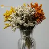 Fiore eterno conservato erba di cristallo naturale fresco essiccato conservato reale per sempre