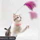 Interactive Cat Toys Funny Feather Teaser Stick with Bell Pets Collar Kitten Playing Teaser Wand