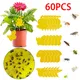 10-60Pcs Strong Sticky Fly Dual-Sided Sticky Board Pest Traps Bugs Outdoor Plant Insect Catcher