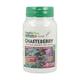 Nature's Plus Chasteberry (Chasteberry) 60 capsules