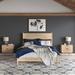 Corrigan Studio® Makynsie 3-piece Wash Finish Bedroom Set Wood in Brown | 47 H x 58.5 W x 79 D in | Wayfair B2612C6F75CC4B03AE79E60AEBBA7B0A
