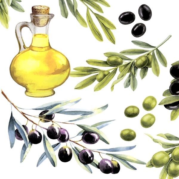 240 Duni Tissue-Servietten 33 x 33 cm Olives 3-lagig Image