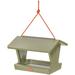 Birds Choice 8.5 Color Pop Collection Recycled Plastic Hanging Hopper 2-Sided Bird Feeder Fern Green