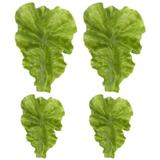 Simulation Lettuce Leaf Models 4Pcs Lifelike Lettuce Leaf Adornment Vegetable Leaf Model Simulated Vegetable Decor