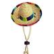 Pet Straw Hat Dog Cap Straw Cowboy Hat Cute Pet Hat Lace Dog Hat Mini Sombrero Straw Hat Cat Headgear Mini Hat Adjustable Pet Woven Hat Dog Hats Pet Dog Beach Hat