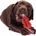 Tough dog toys for aggressive chewing large dogs dog chew toys durable dog toys dog bones made of nylon and rubber large indestructible dog toys medium sized puppy chew toys teething chew toys