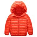 Kids Unisex Hoodie Jacket Outerwear Kids Puffer Jacket Solid Color Long Sleeve Zipper Coat Outdoor Adorable Daily Royal blue cotton jacket black cotton coat Orange cotton jacket Spring Fall 7-13 Years