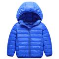 Kids Unisex Hoodie Jacket Outerwear Kids Puffer Jacket Solid Color Long Sleeve Zipper Coat Outdoor Adorable Daily Royal blue cotton jacket black cotton coat Orange cotton jacket Spring Fall 7-13 Years