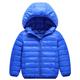 Kids Unisex Hoodie Jacket Outerwear Kids Puffer Jacket Solid Color Long Sleeve Zipper Coat Outdoor Adorable Daily Royal blue cotton jacket black cotton coat Orange cotton jacket Spring Fall 7-13 Years