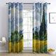 BUKITA Van Gogh Curtains, Cypress Tree in Wheat Field Blackout Curtains 66x72 InchEyelet Curtains for Living Room Bedroom and Kitchen, Thermal Grommet Drapes, Door Curtain, 2 Panels Set