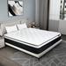 Queen Medium 13" Foam Mattress - Chevni Hybrid Pocket Spring w/ CertiPUR-US Certified | Queen, High Profile (13") Wayfair Chevni003S-Q