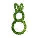 The Holiday Aisle® Preserved Boxwood Bunny in Green | 25 H x 12 W x 1 D in | Wayfair 07D4787CC3EB42588EEE3608477CB5C7