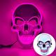 Halloween Men's Mask LED Light-up Mask Scary Skull Mask Halloween Holiday Role-playing Mask Carnival Party Mask for Halloween