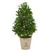HomeStock 39In. Bay Leaf Cone Topiary Artificial Tree In Vintage Variety Planter