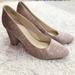 Nine West Shoes | Nine West Jayvee Paisley Velvet Block Heels Dusty Pink 9 | Color: Pink | Size: 9