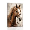 CCWACPP Horse Canvas Wall Art Vintage Brown Horse Painting Western Animal Portrait Print Wildlife Poster Rustic Farmhouse Home Office Wall Decor Framed (D, (50.00 x 75.00 cms))