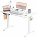 Standing Desk, Adjustable Height Electric Sit Stand Up Down Computer Table, 48x24" Modern Lift Motorized Gaming Desk Workstation