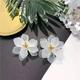 1 Pair Stud Earrings For Women's Birthday Party Evening Gift Resin Fancy Fashion