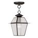 1 Light Outdoor Pendant Lantern in Farmhouse Style 7.5 inches Wide By 11.5 inches High-Bronze Finish Bailey Street Home 218-Bel-1119594