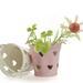 12 Pcs House Decorations for Home Wedding Ceremony Decorative Plant Pot Child Bucket Flowerpot Heart-shaped