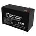 12V 9Ah Battery Replacement for CyberPower CPS 825 AVR