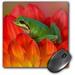 8 X 8 X 0.25 Inches Mouse Pad Pacific Tree Frog Sammamish Washington Darrell Gulin (Mp_95356_1)