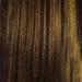 SHe Premium Human Hair & Fiber Mix Bohemian 10 Inch Color P4/27