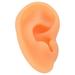 Simulation Soft Silicone Professional Ear Display Mould For Hearing Ai Ear Model