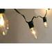 Clear String Lights C9 Bulbs For Indoor / Outdoor Use