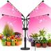 Grow Lights for Indoor Plants Four Head LED Grow Light with Full Spectrum & Red White Spectrum for Indoor Plant Growing Lamp Adjustable Gooseneck Suitable for Plant(Four-head plant light)