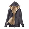 Women's Hoodie Zip Hoodie Sweatshirt Pullover Active Streetwear Sherpa Fleece Zipper Front Pocket Wine Gray Black Plain Casual Hooded Long Sleeve Fleece S M L XL / Fleece lined