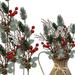 Pine Berry Christmas Picks With White Pip And Red Holly Berries - Set Of 10 - Pinecone Floral Sprays With Bendable Stems - 11 H