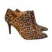 Jessica Simpson Shoes | Jessica Simpson Leopard Print Averna3 Faux Suede Pointed Toe Boots Size 9 Nwt | Color: Black/Brown | Size: 9