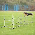 4 Pack Adjustable Dog Agility Jumps with Carry Bag Exercise Dog Jumping Hurdles Dog Agility Course Game for Indoor Outdoor White