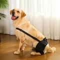 Adjustable Pet Legs Protector Supporter Knee Brace Dog Leg Braces For Back Leg
