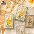 Mr. Papier – autocollants Vintage dentelle bordure plante fleur 30 feuilles/boîte beau manuel