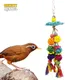 Boule décorative en rotin coloré pour oiseaux de compagnie jouets pour perroquet oiseaux de